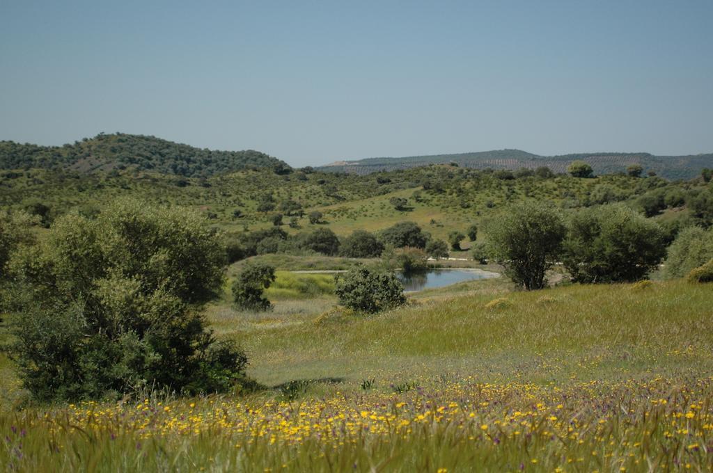 Albergue Rural De Fuente Agria Hostel Villafranca de Cordoba Luaran gambar